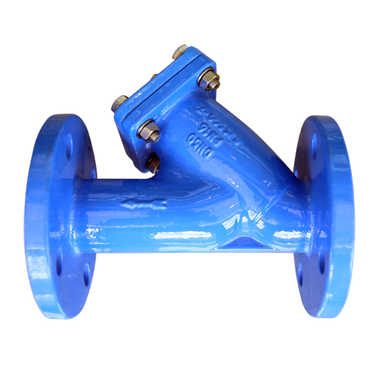 Y strainer-100